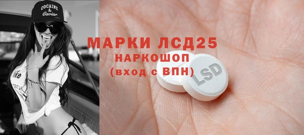 индика Осинники