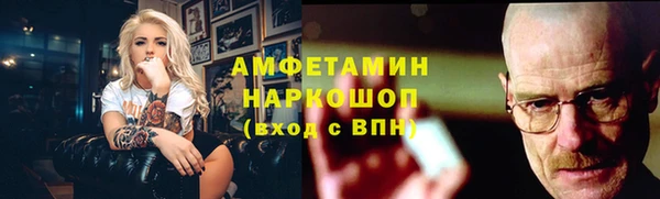 индика Осинники