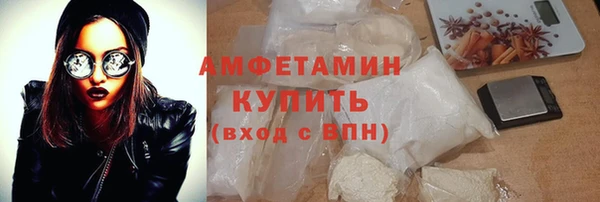 индика Осинники