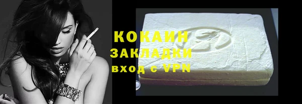 индика Осинники