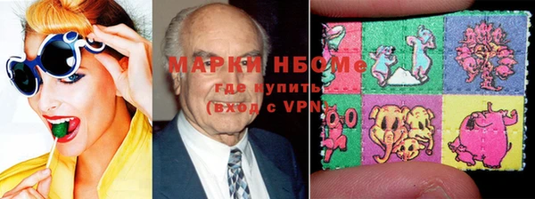 индика Осинники