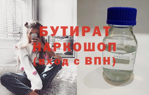 индика Осинники