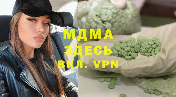 индика Осинники