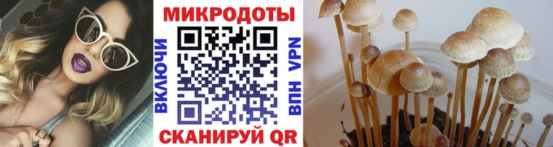 Галлюциногенные грибы мицелий  Очёр 